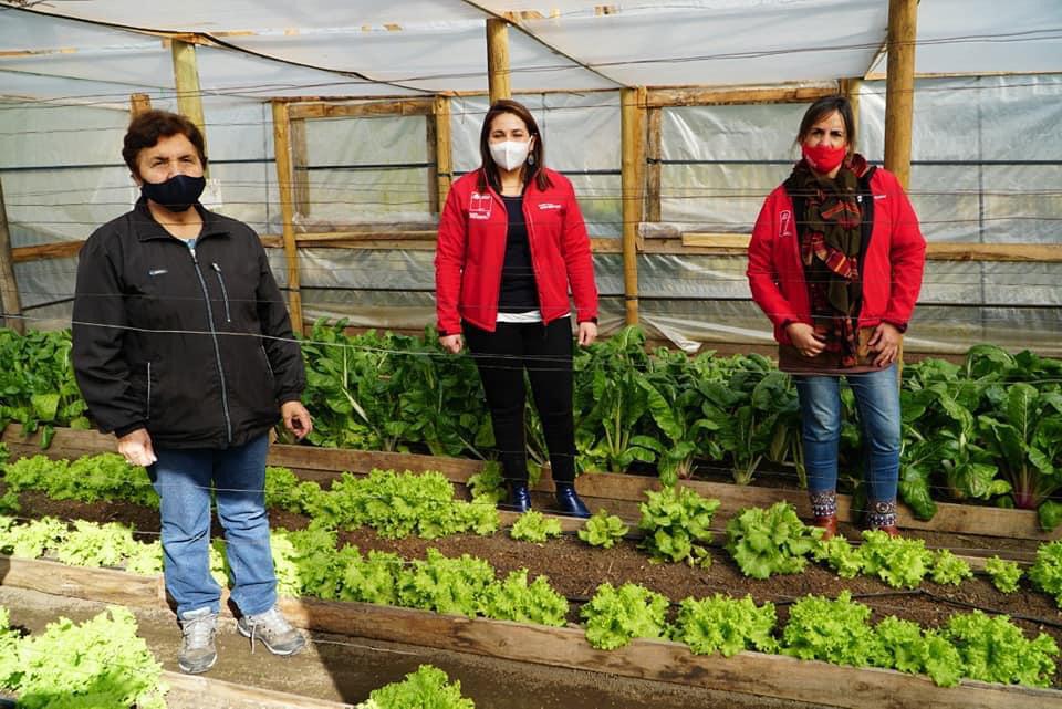 El Gran Ejemplo De Trabajo Y Esfuerzo De Las Mujeres Rurales De La